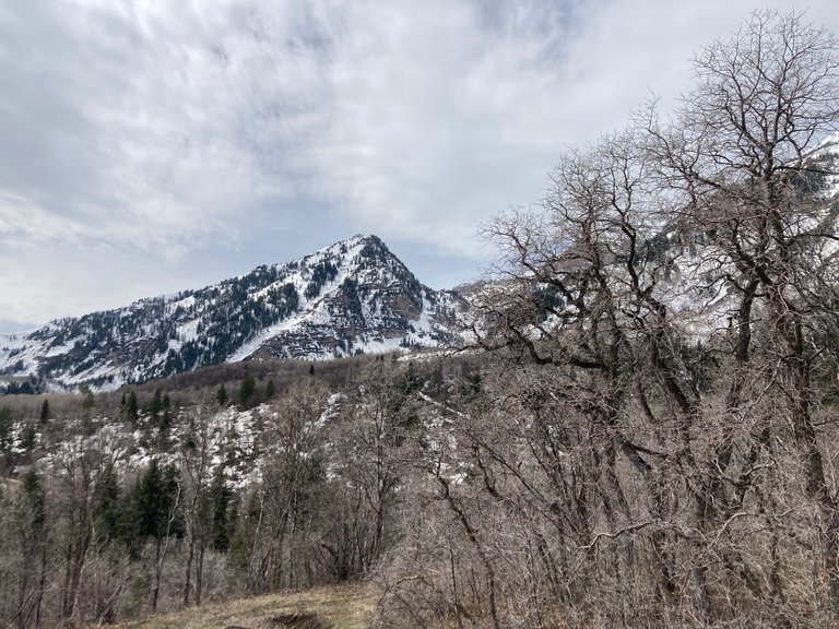 Sundance valley