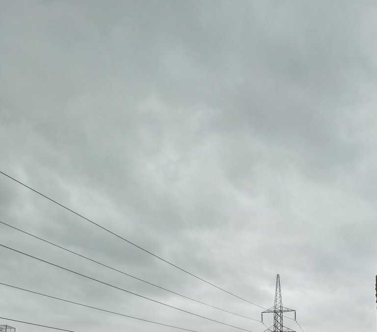 img_0.6578474132543504