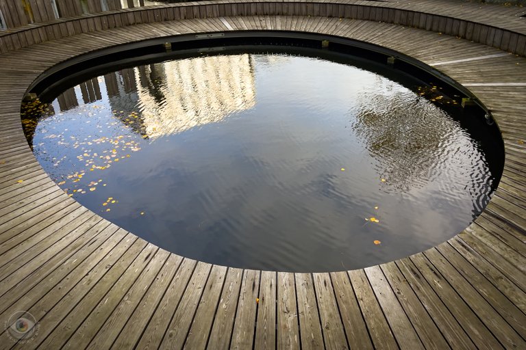 Wooden Waterhole