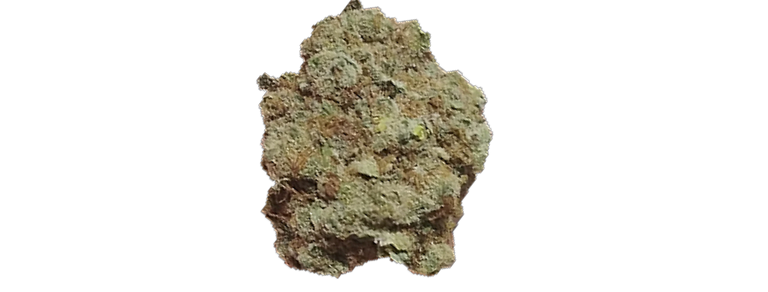 gg_4_nug.png