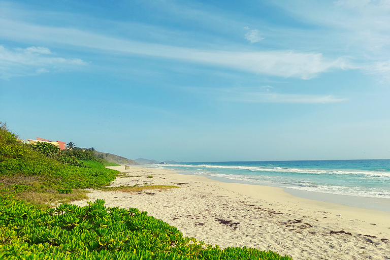 caminata_en_playa_parguito_12.png