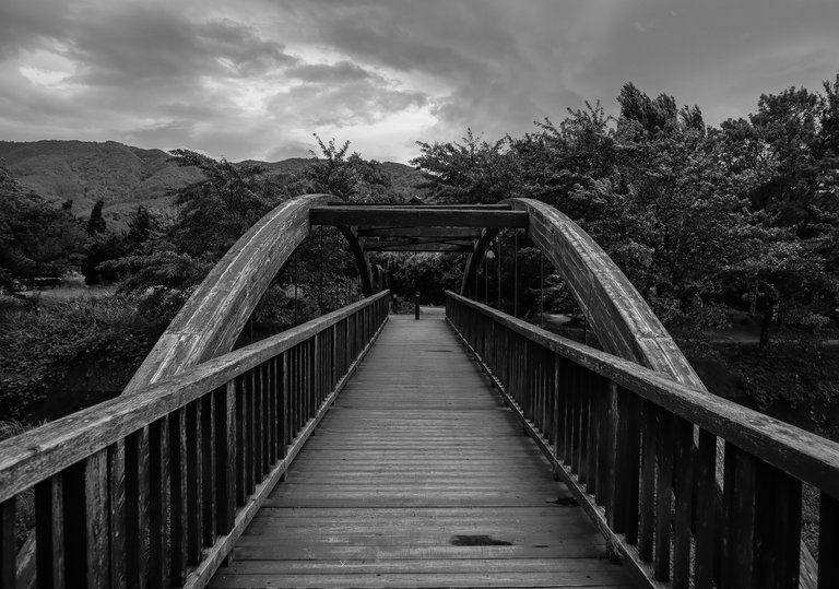 symmetric_wooden_bridge_with_trees_in_the_background_1.jpg