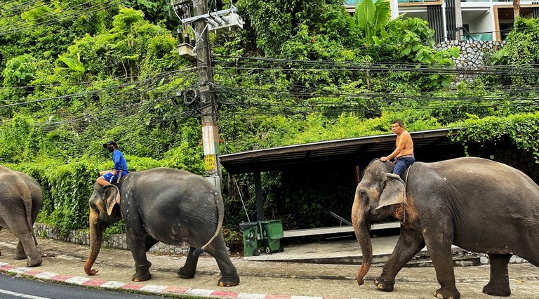 phuket_26.jpg