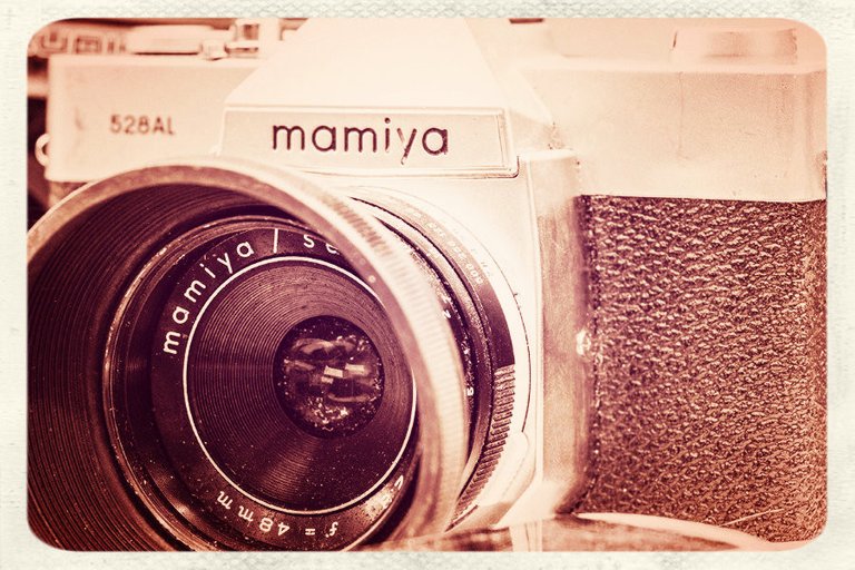 mamiya_filter_19_.jpg