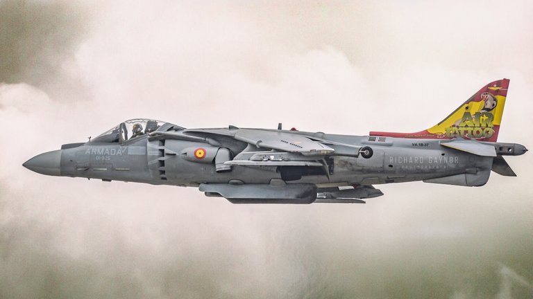 spanish_harrier_img_5076_edit_edit.jpg