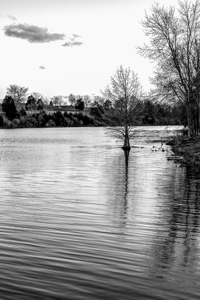 lake_reba_reflections.jpg