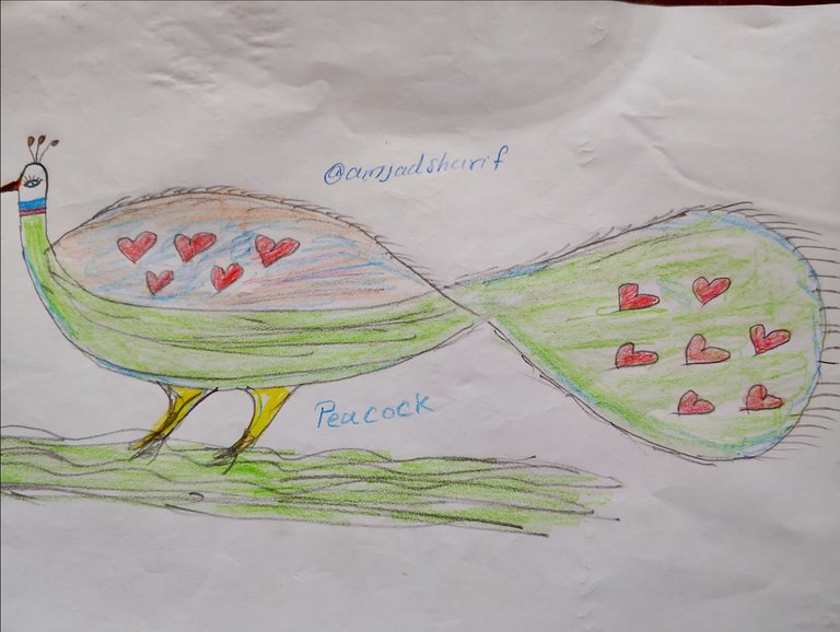 Peacock 🦚 Sketch/ Art 🎭 with Pencil ✏️ Drawing (Creative Sunday) 