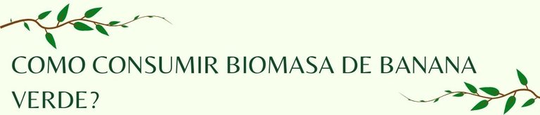 biomasa_de_banana_verde_3_.jpg