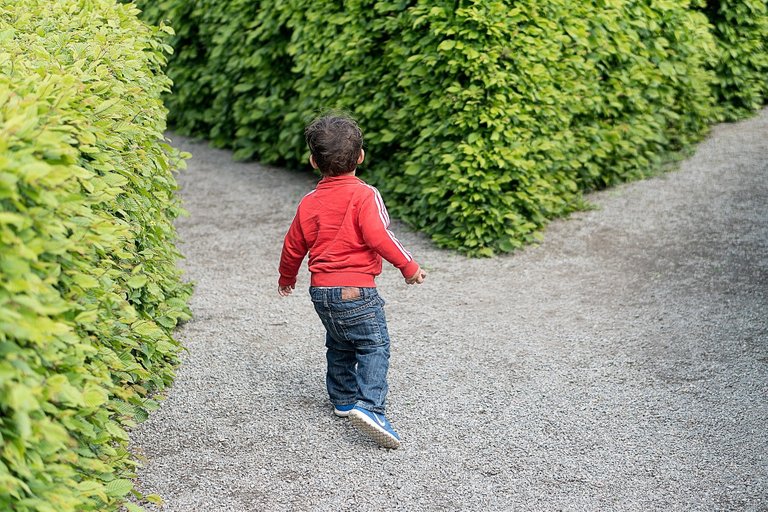 child_g54a6531c9_1920