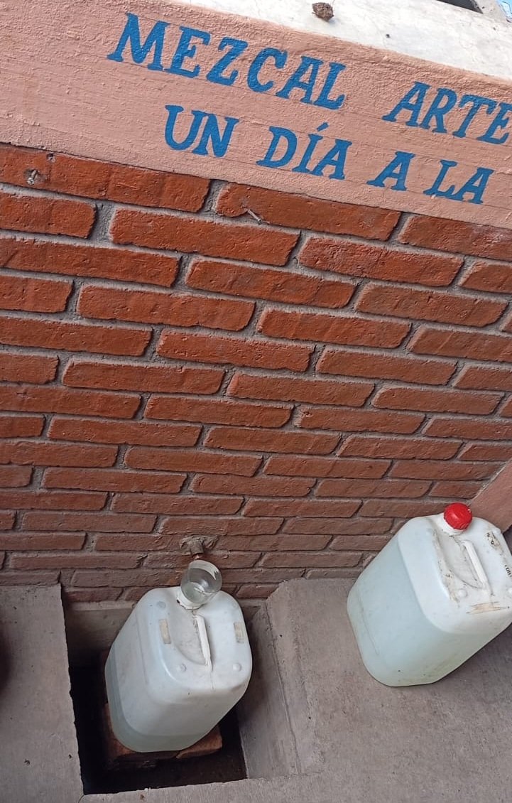 Recolección de los alcoholes