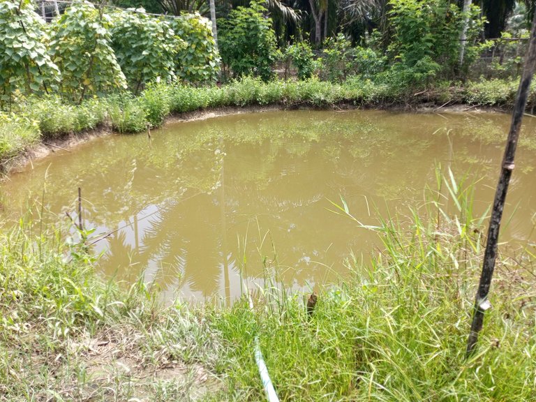 Water storage pond.