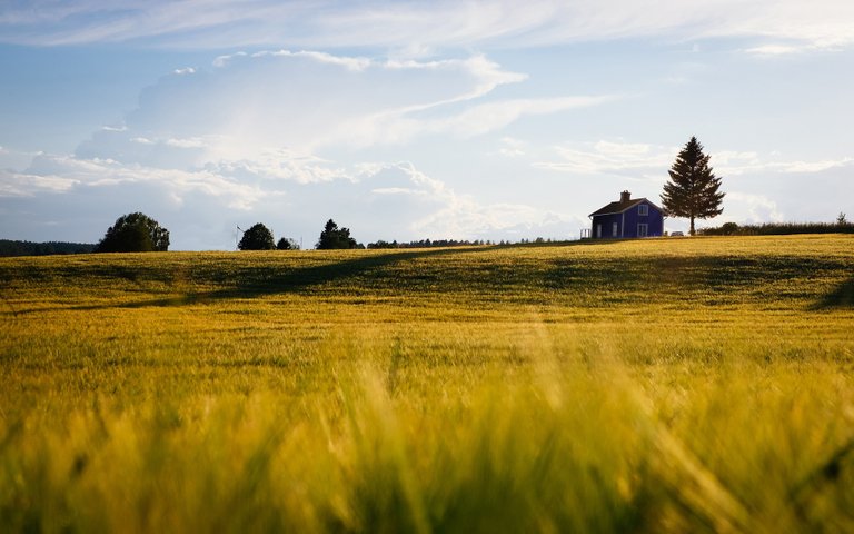 barn_gee3877207_1920.jpg