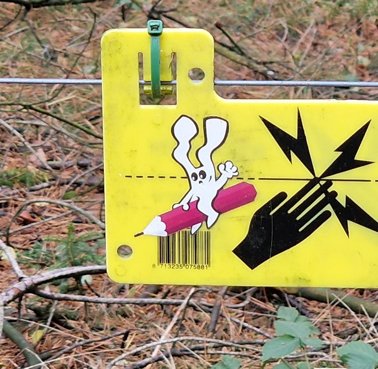 Bunny riding a flying pencil close-up