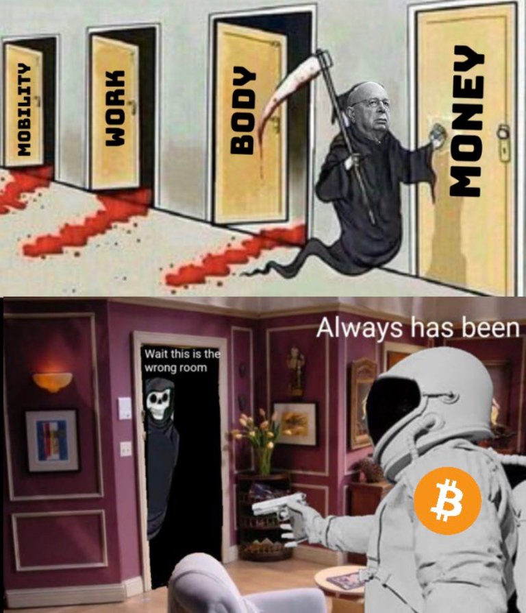 072_bitcoin_and_zog.jpg