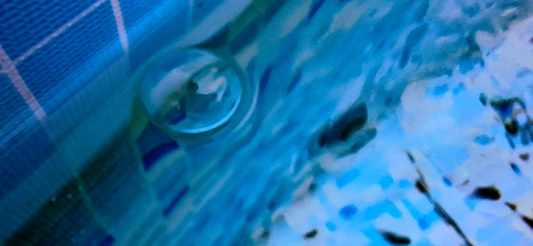 Rain-Painted Frame – Capturing Fleeting Moments /Post deszczem malowany – kadrowanie chwil ulotnych