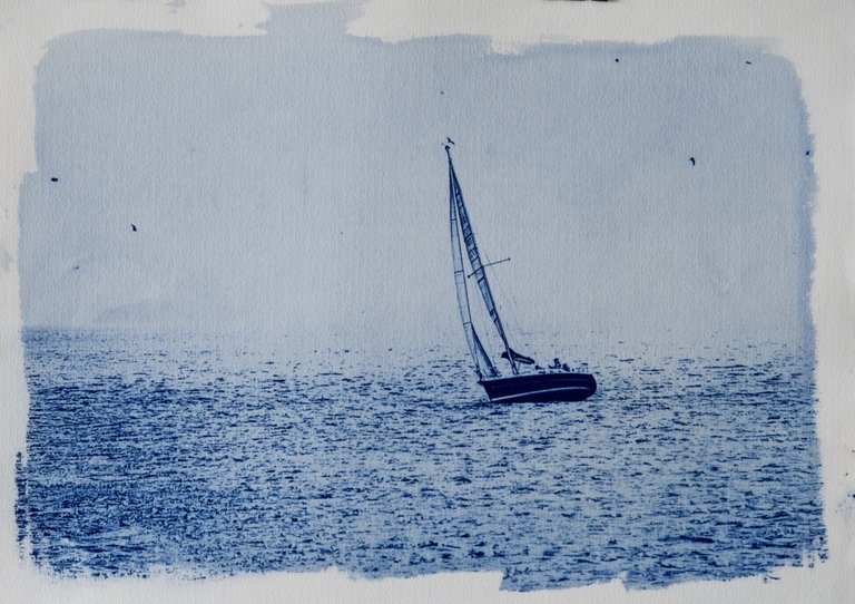 sailing_yacht_istanbul.jpg