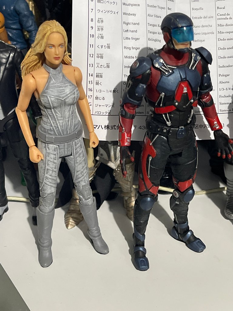 With White Canary, also from DC Collectibles 