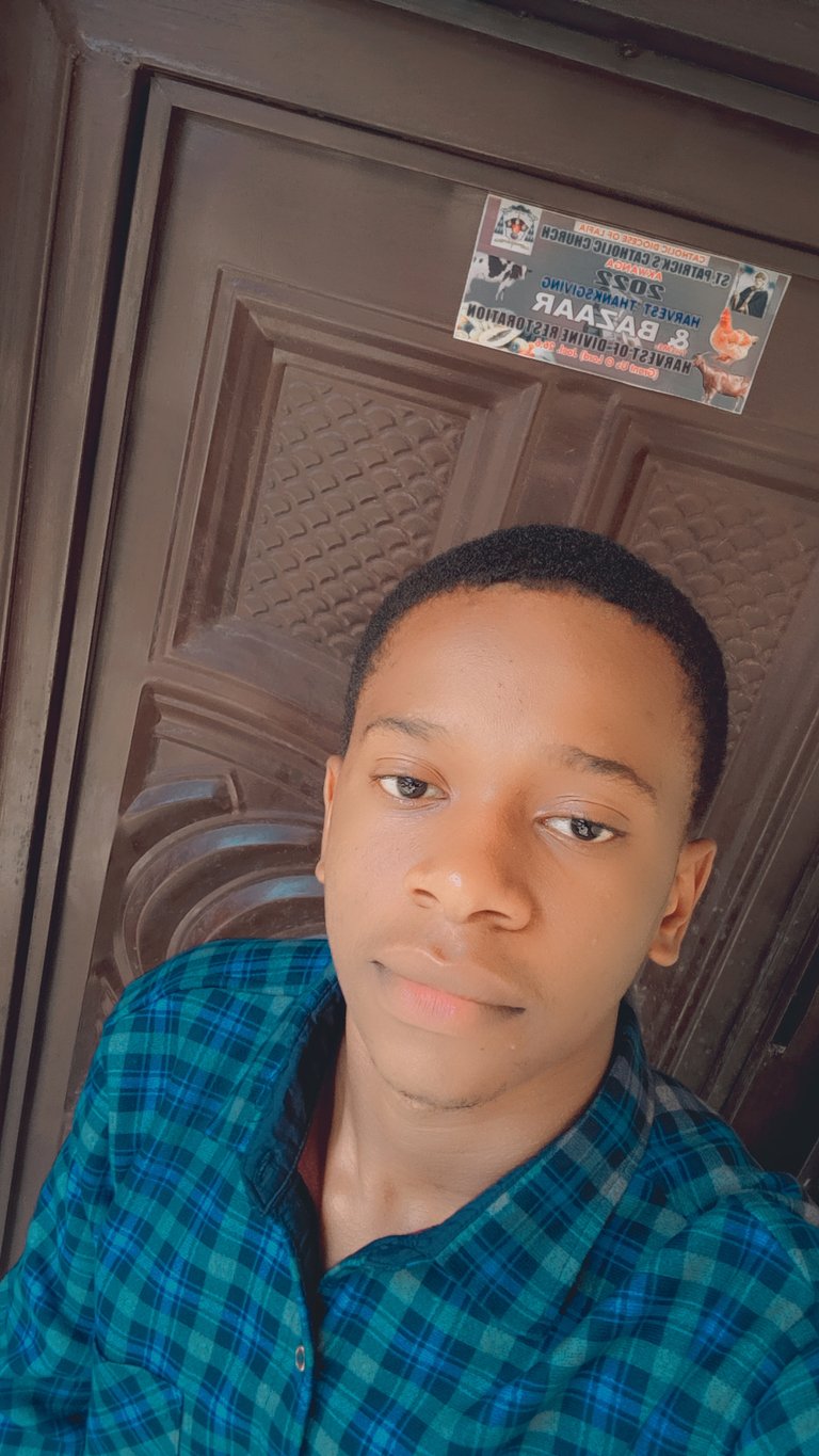 Hive naira weekly prompt. A perfect day for me.
