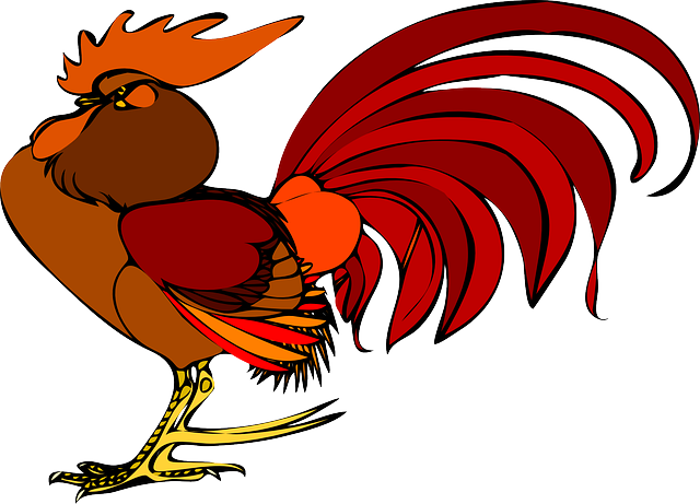 rooster_48030_640.png