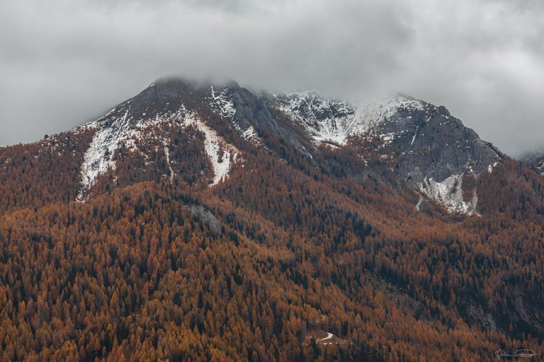 Orange Mountains / Autumn in Austria