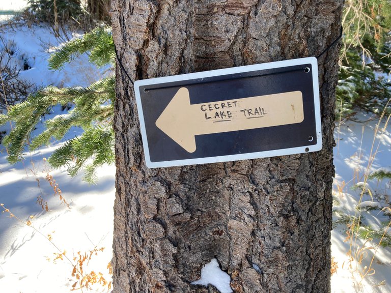 Cecret Trail