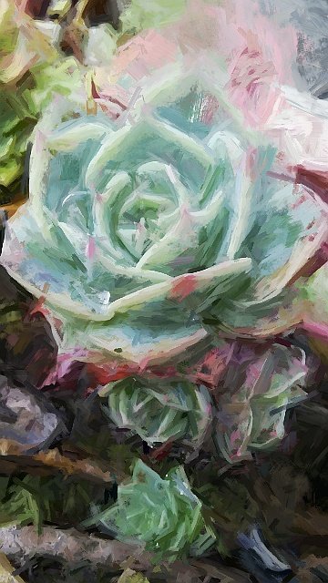 echeveria_art_2.jpg