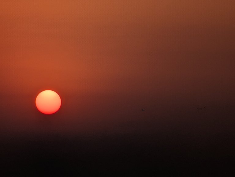 Early Dawn Shots