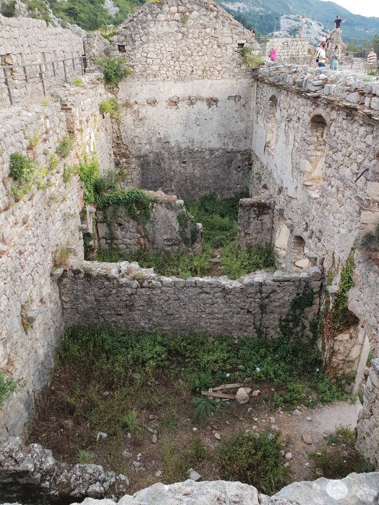 20180816_183603.jpg