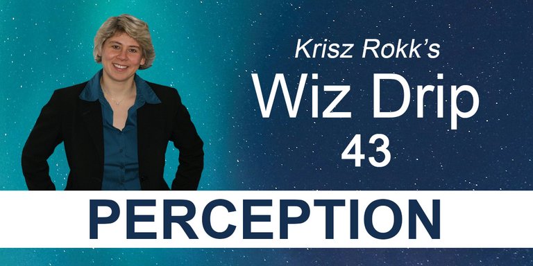 Krisz Rokk's Wiz Drip 43 - Perception