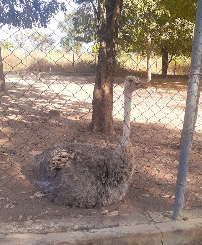 Zoo & Wildlife Conservation: A Reserve Of Nature. 