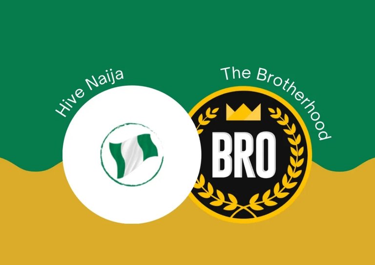 My Little Research on the Brotherhood Community and My Experience with CINETV