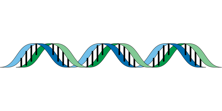 dna_148807_960_720.png