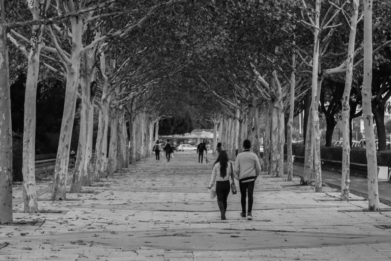 couple_on_a_promenade_with_red_leaves_during_autumn_2_1.jpg