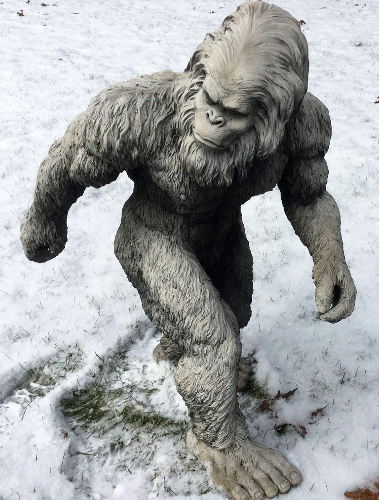 bigfoot_1620140_1920.jpg