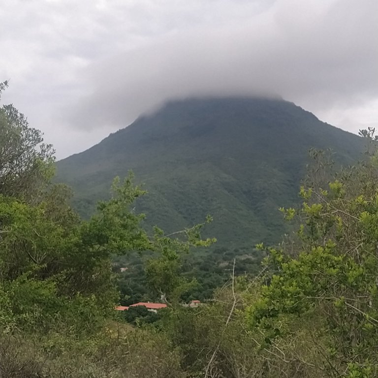 Photographs of Cerro Guayamuri while I was getting some fresh air//Fotografías del Cerro Guayamuri mientras estaba tomando un poco de aire fresco 