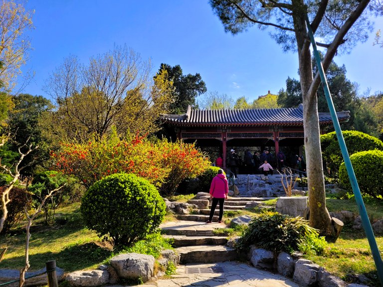 Walking Around The Beautiful Jingshan Park