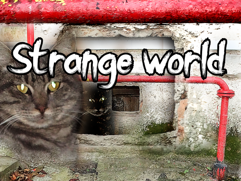 Strange world.