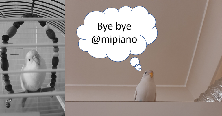 mipiano.png