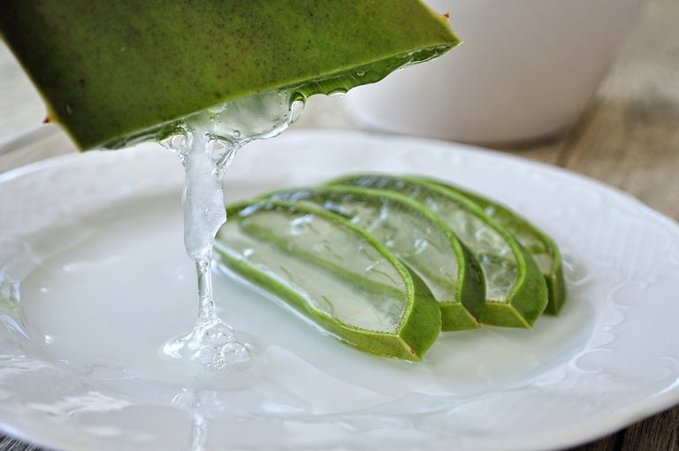 Medicinal plants, Aloe Vera