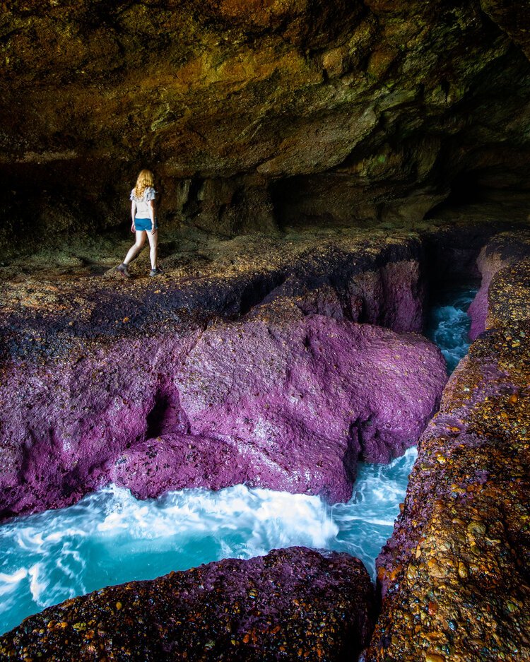 finding_the_pink_caves_in_catherine_hill_bay.jpg
