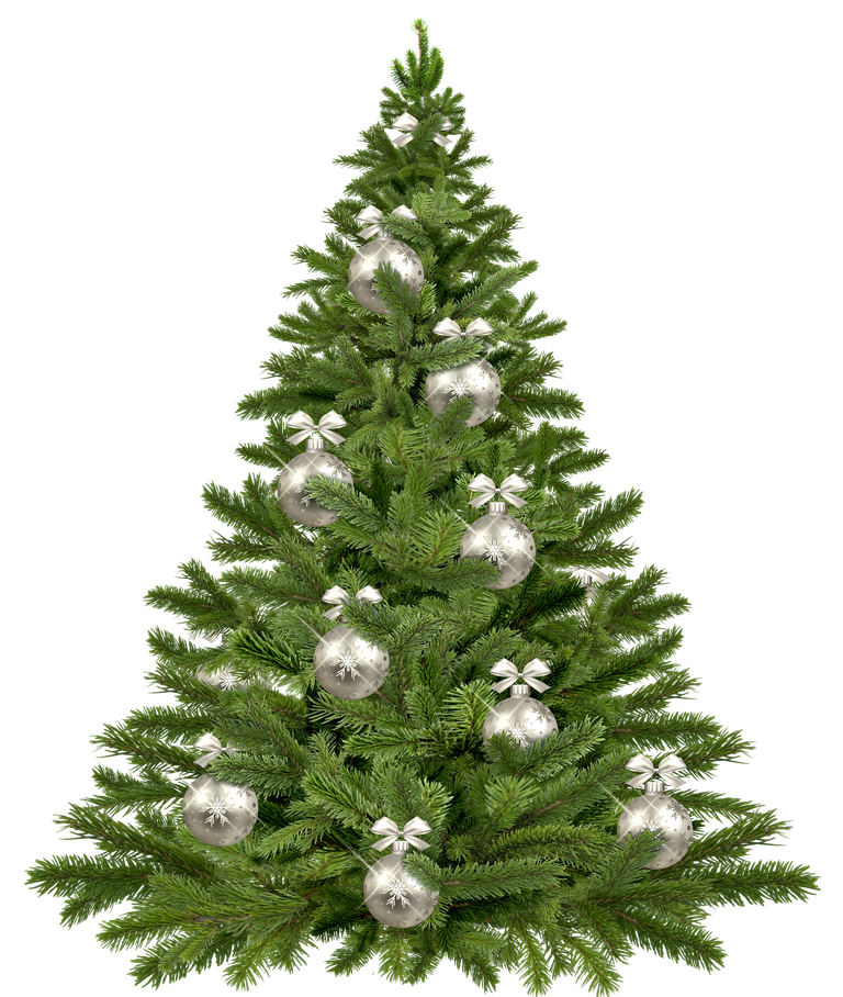 christmas_tree_gc806c16d7_1920.png