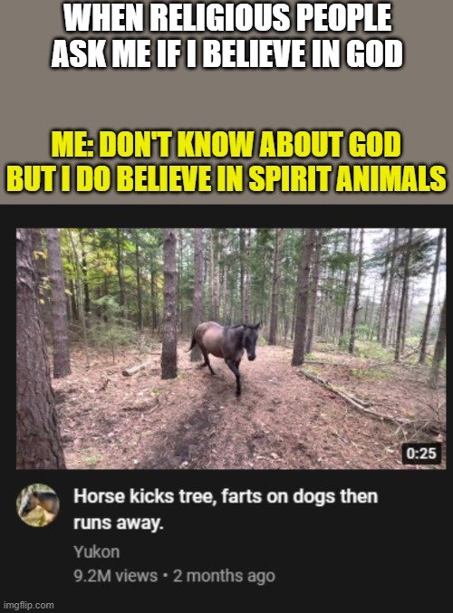 spirit_animals.jpg