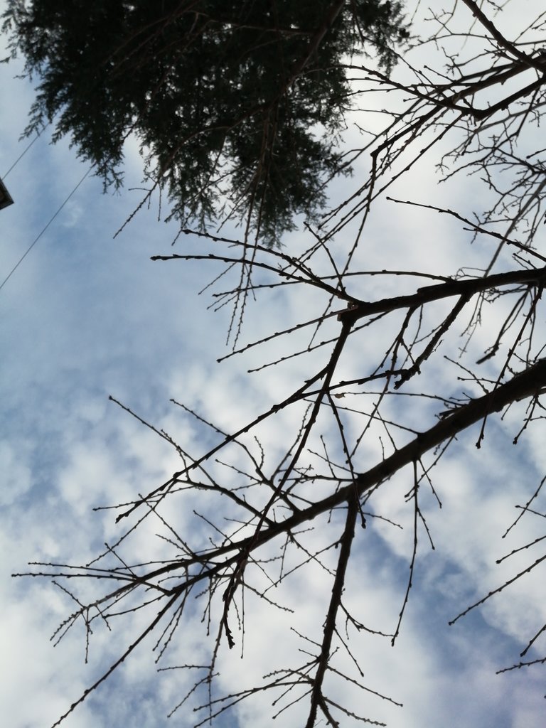 img_20211213_092409.jpg