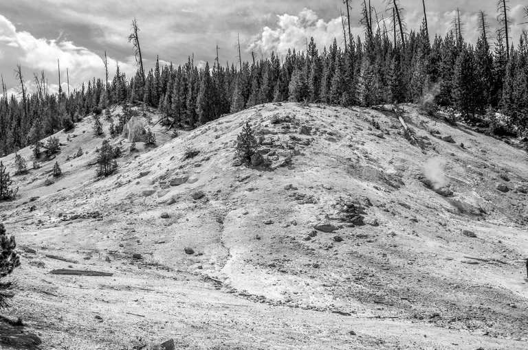 new_bw_yellowstone_8.jpg