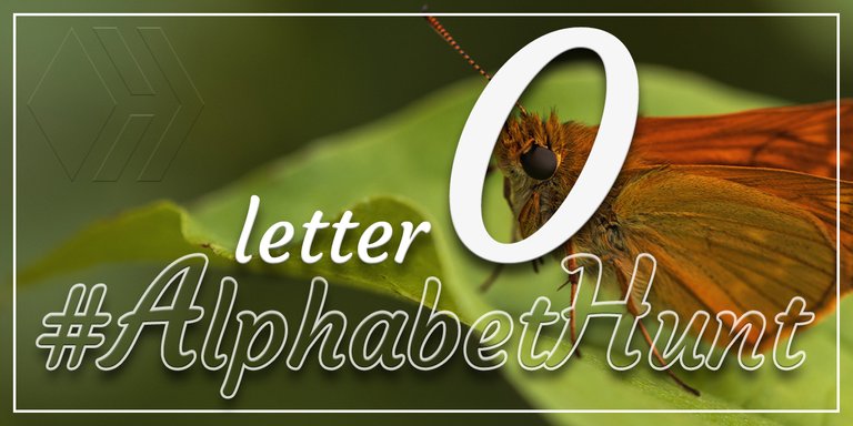 Hive AlphabetHunt - Letter O