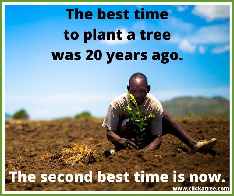 click_a_tree_meme_the_best_time_to_plant_a_tree_was_20_years_ago._the_second_best_time_is_now._by_click_a_tree_on_clickatreedotcom.jpg