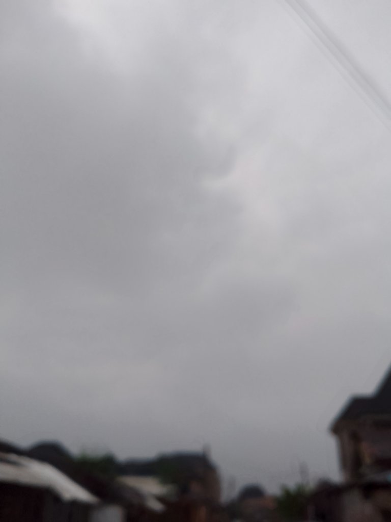 1000015717.jpg