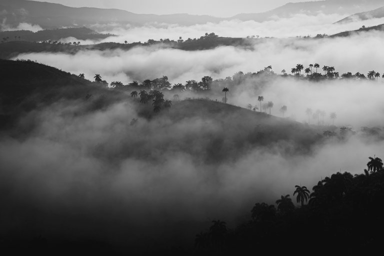 Canon EOS 80D - Sigma Art 18-35 f1.8 DC