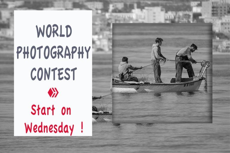 world_photography_contest_trame_copie.jpg