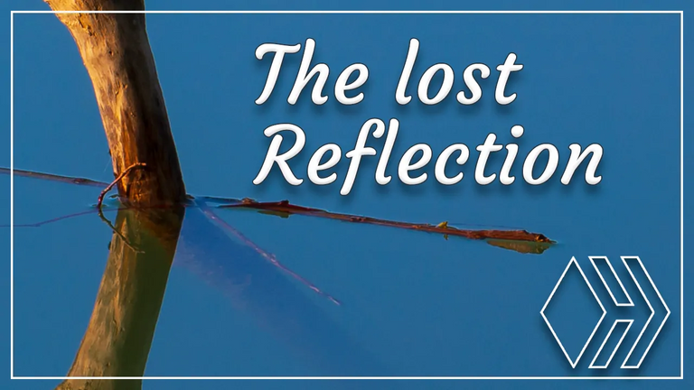 The lost Reflection | Reflection Hunters Contest ~ Round 16